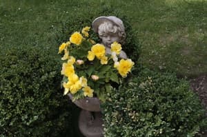 thumbnail: Garden