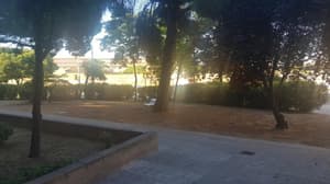 thumbnail: Property grounds