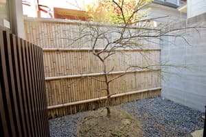 thumbnail: Garden