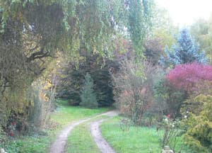 thumbnail: Garden