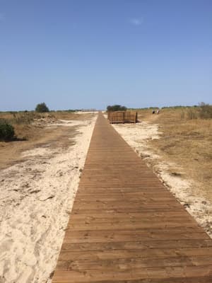 thumbnail: Beach