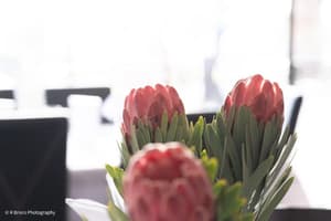 thumbnail: Outdoor dining