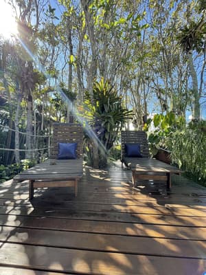 thumbnail: Garden