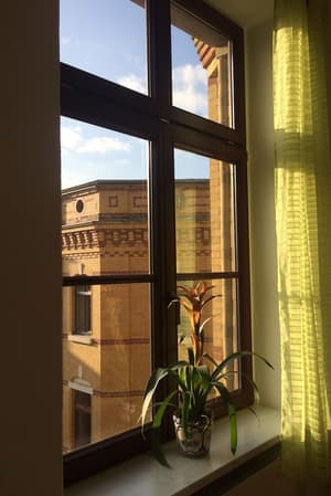 thumbnail: View from room
