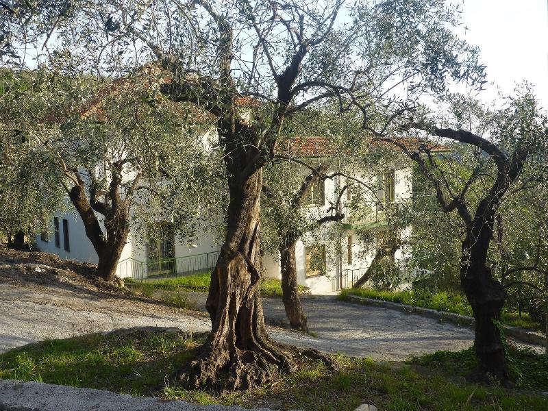 General view