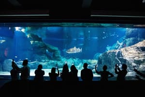thumbnail: Aqua center