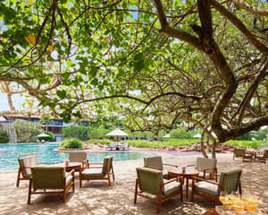 thumbnail: Poolside bar