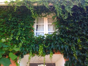 thumbnail: Exterior detail