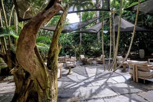 thumbnail: Terrace/patio
