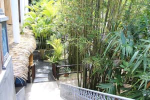 thumbnail: Garden