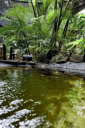 thumbnail: Garden