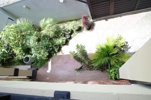 thumbnail: Garden view