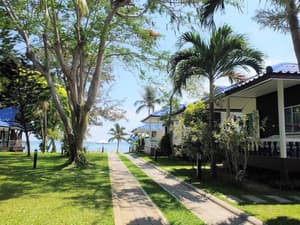 thumbnail: Garden view