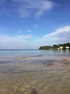 thumbnail: Beach