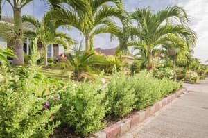 thumbnail: Property grounds