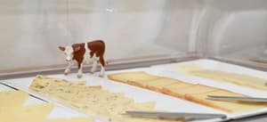 thumbnail: Breakfast buffet