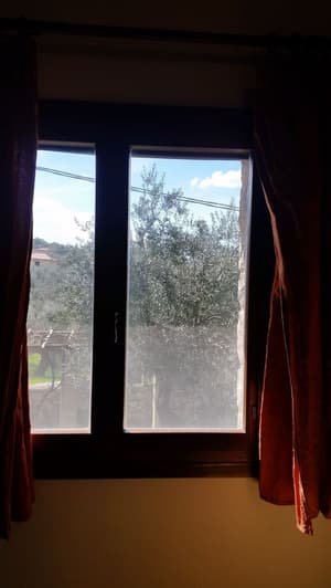 thumbnail: Garden view