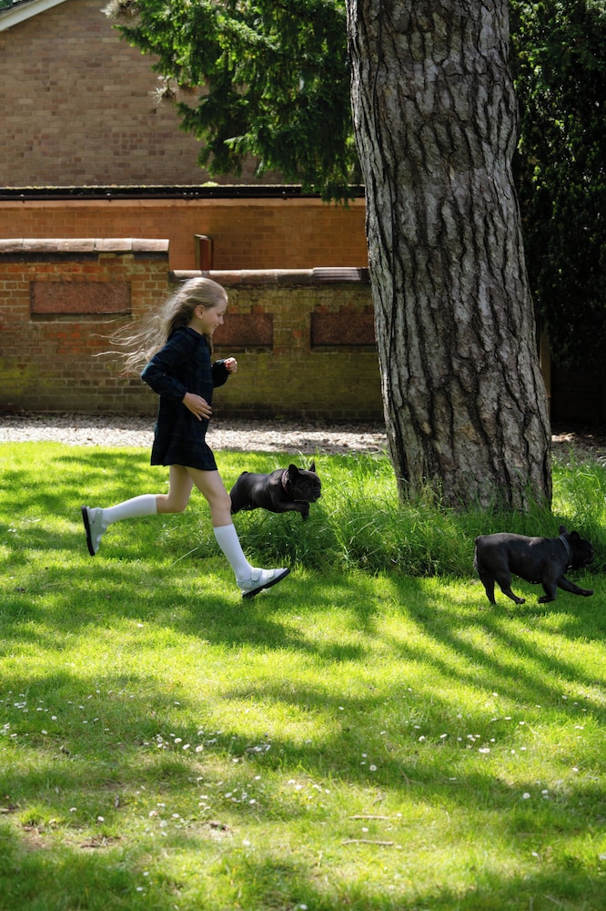Children's activities