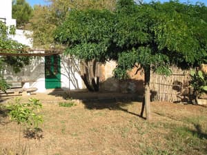 thumbnail: Terrace/patio