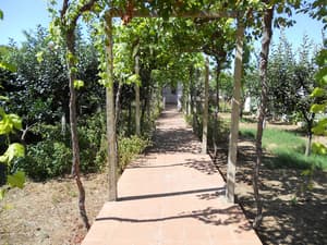 thumbnail: Garden