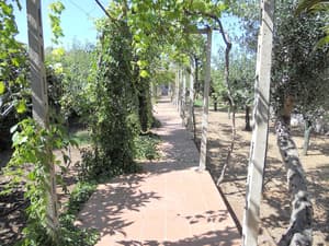 thumbnail: Garden