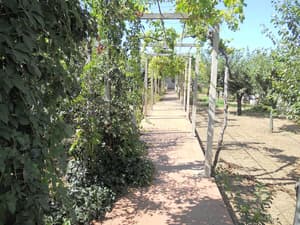 thumbnail: Garden