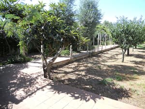 thumbnail: Garden