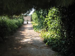 thumbnail: Garden