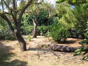 thumbnail: Garden
