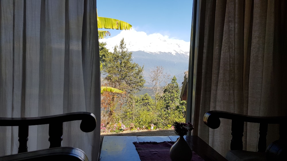 View from room
