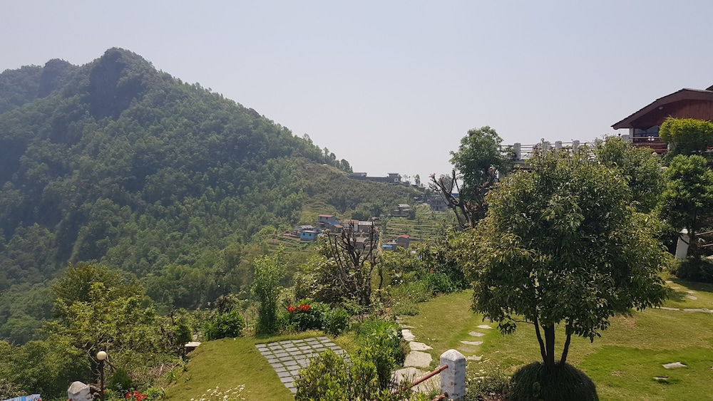 Garden view
