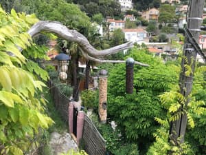 thumbnail: Property grounds