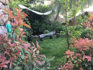 thumbnail: Property grounds