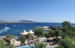 thumbnail: General view