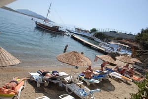 thumbnail: Beach