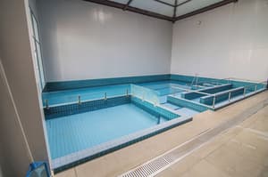 thumbnail: Indoor pool