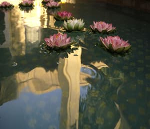 thumbnail: Pool