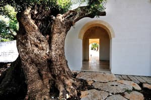 thumbnail: Exterior detail