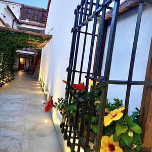 thumbnail: Terrace/patio