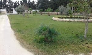 thumbnail: Property grounds