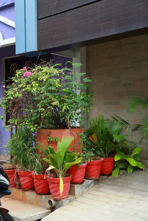 thumbnail: Property entrance