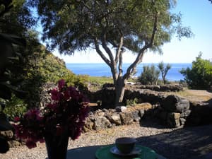 thumbnail: Terrace/patio