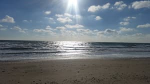 thumbnail: Beach