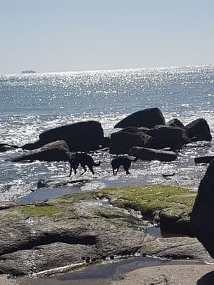 thumbnail: Beach