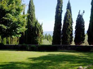 thumbnail: Property grounds