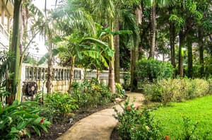 thumbnail: Garden