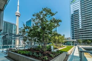 thumbnail: Terrace/patio