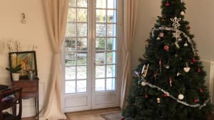 thumbnail: Interior