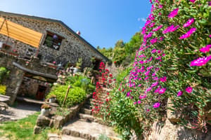 thumbnail: Garden