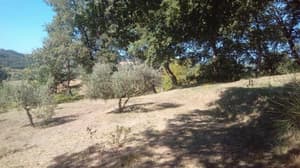 thumbnail: General view